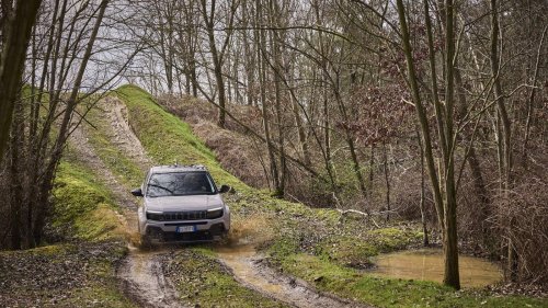 Über Stock und Stein: Im Jeep Avenger e-Hybrid querfeldein und im Renegade auf Jubiläumstour