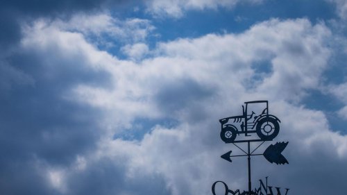Osterwetter: Von Frost bis 23 Grad - Sonne über Ostertage erwartet