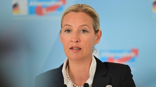 Als geheim eingestuft: „Cicero“ veröffentlicht gesamtes AfD-Gutachten