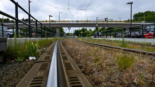 Marode Brücke: Brücke an der Wuhlheide soll abgerissen werden