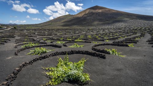 Nichts los auf Lanzarote?: In der Ruhe liegt der Krach