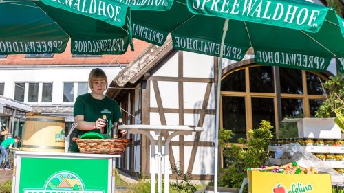 Spreewaldhof in Golßen: 2.000 Unterschriften für Gurkenproduktion in Golßen