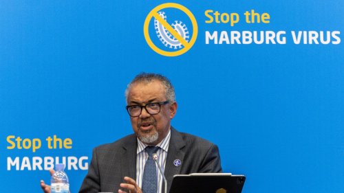 „Könnte 20 Jahre Fortschritt zunichte machen“ : WHO-Chef warnt vor Millionen Toten wegen Unterbrechung von US-Hilfe