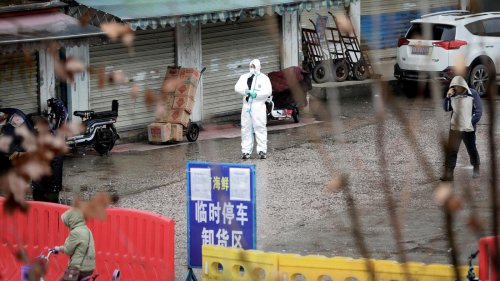 Wie kam Sars-CoV-2 nach Wuhan?: Stammbaum-Studie liefert Hinweise auf Einschleppung