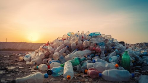 Aus PET wird Nylon: Bakterien könnten unser Plastikproblem lösen