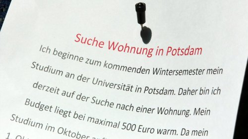 In Potsdam wohnen ist teuer für Studierende: Über die Hälfte vom Bafög allein für Miete