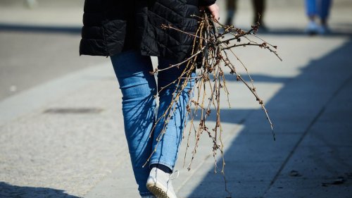 Frühlingshafte Temperaturen wieder vorbei: Am Wochenende wird es in Berlin und Brandenburg kühler
