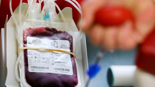 Reserven in Brandenburg werden knapp: Gesundheitsministerin Ursula Nonnemacher ruft zum Blutspenden auf