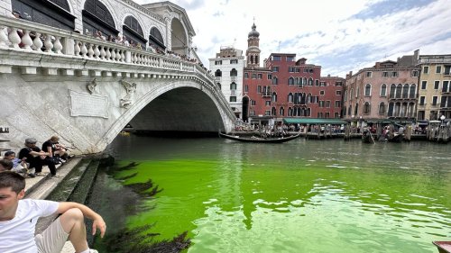 Ursache bisher unbekannt: Canale Grande in Venedig leuchtet plötzlich grün
