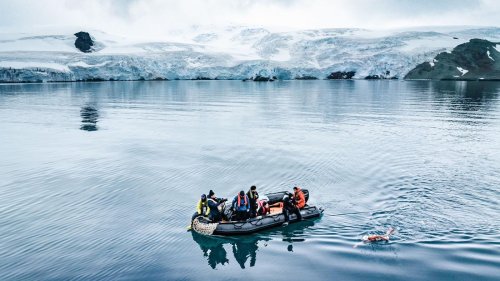 Chilenin schwimmt Weltrekord in der Antarktis: „Meine Körpertemperatur sank zwischenzeitlich auf 27 Grad Celsius“