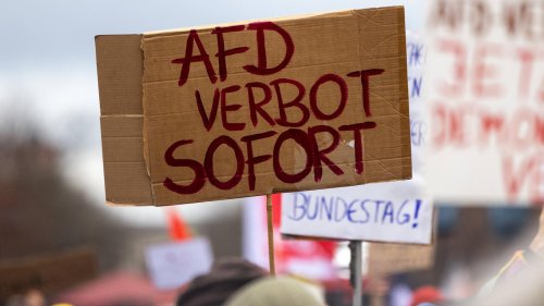 „Es muss jetzt schnell gehen“: Bundestagsabgeordnete reichen Antrag für AfD-Verbot ein