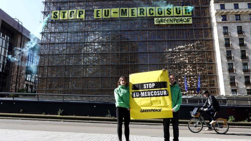 EU-Mercosur-Freihandelsvertrag: Eine Nichtratifizierung wäre ein geopolitisches Eigentor