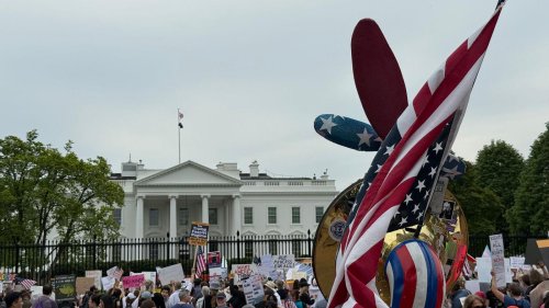 Demonstrationen: Neue landesweite Proteste gegen Trump