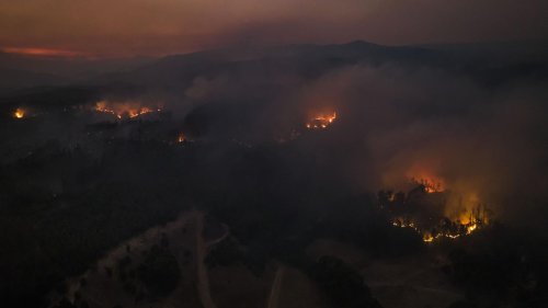 Mindestens 23 Tote und fast 1000 Verletzte: Verheerende Waldbrände in Chile weiterhin außer Kontrolle