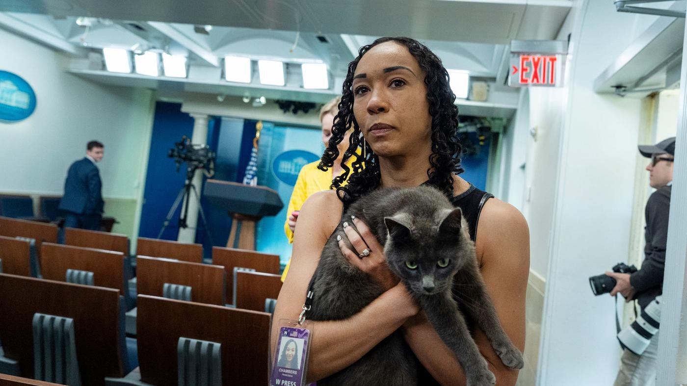 Vierbeiniger Gast: Katze auf Abwegen sorgt für Aufsehen im Weißen Haus