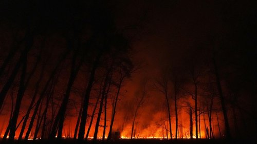 Feuer an der US-Ostküste: Tausende fliehen vor Waldbrand im US-Bundesstaat New Jersey