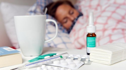 Deutlich mehr Fälle als im Vorjahr: In Brandenburg greift die Grippe um sich
