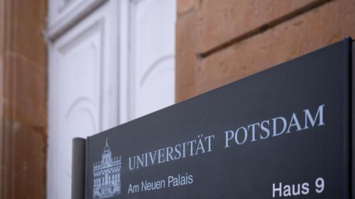 Wissenschaft: Trump-Kurs erschwert Austausch mit Unis in Brandenburg