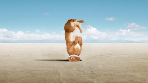 Die etwas andere Osterbotschaft: Der Trend geht zur „Mikrohoffnung“