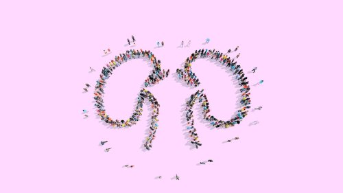 Heimliche Volkskrankheit Nierenleiden: Neue Medikamente können Patienten vor Dialyse und Transplantation bewahren