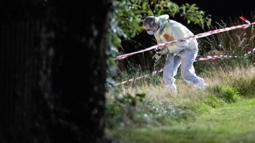 Suche in Nordhessen: Polizei findet Leiche im Wald – wahrscheinlich vermisste 14-Jährige