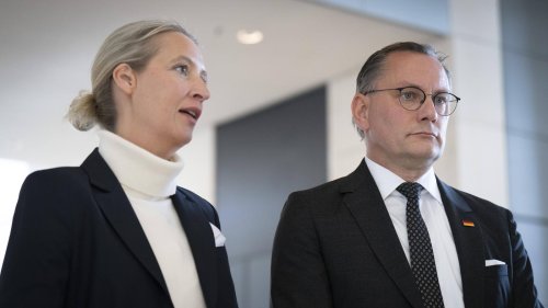 Gutachten des Verfassungsschutzes: Die AfD und ihr „ethnisch-abstammungsmäßiger Volksbegriff“