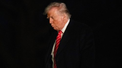 Hält Russland Trump beim Waffenstillstand hin?: Der US-Präsident wird offenbar langsam sauer
