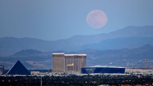 Enhanced Games: Doping-Spiele: Erster Austragungsort ist Las Vegas