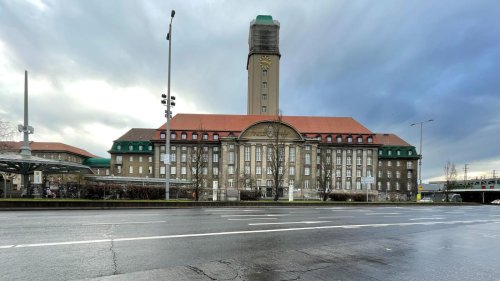 Falken stoppen Berliner Bauarbeiter: Baustart am Spandauer Rathausturm - mit Hindernissen