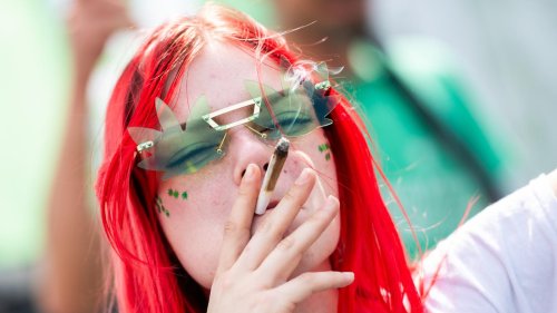 Ein Jahr Cannabis-Legalisierung: „Es ist schwierig, einen Berliner Kiffer zu überzeugen, was Normales zu konsumieren“