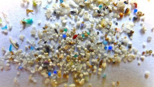 Kunstrasen, Glitter, Babywindeln: EU verbietet Mikroplastik-Produkte