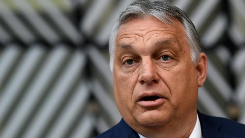 Klage gegen Orban-Gesetz?: Hofreiter fordert Bundesregierung zum Handeln auf