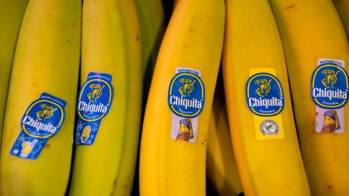 Wegen Streik: Konzern Chiquita entlässt Tausende Bananenarbeiter in Panama