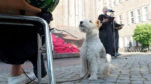 So wurde der erste Tiergottesdienst in Berlin-Wilmersdorf gefeiert