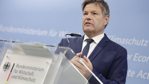 Minister fordert mehr Solidarität: Habeck kritisiert „Mondpreise“ für Gas aus befreundeten Ländern