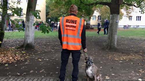 Zoff um Geflüchtetenunterkunft eskaliert: Polizei und Kampfhunde sollen Neubau in Berlin-Pankow durchsetzen