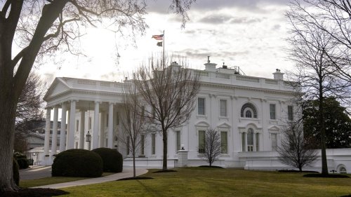 Konflikt mit Trump: Brief der US-Regierung an Uni Harvard soll nicht genehmigt gewesen sein