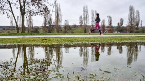 Regen füllt die Speicher auf: Das Berliner Grundwasser steigt wieder – aber nicht in allen Bezirken