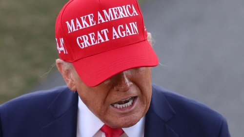 Das ideologieverliebte Gehirn: Warum Führerfiguren wie Trump so verführerisch sind