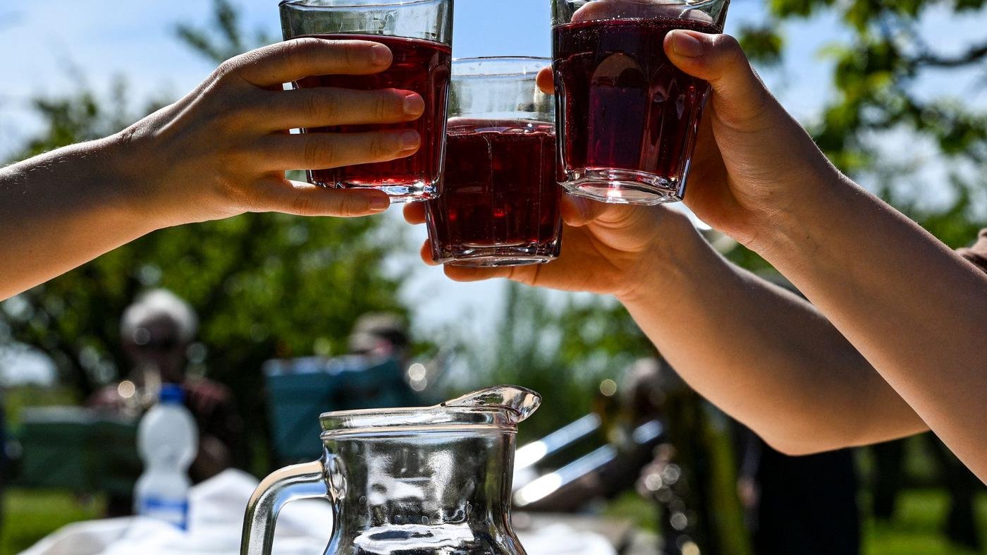 Feste: Obsthöfe öffnen zum Baumblütenfest in Havelstadt Werder
