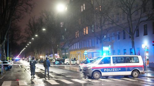 Debatte um Femizide in Österreich: Fünf Frauen und Mädchen in Wien an einem einzigen Tag getötet