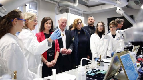 Wissenschaftsfreiheit und Sicherheit: Berlin kann von Trump profitieren