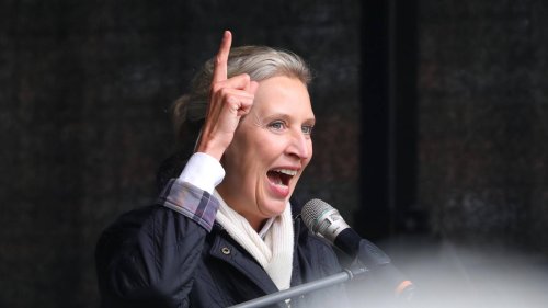 Rechte im Umfragehoch: Welche Strategie verfolgt die AfD jetzt?