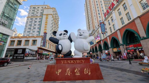 Wie nahe stehen sich Russland und China wirlich?: „Moskau verfolgt das Disruptive, Peking das Evolutionäre“