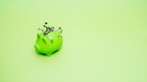 Weltweit investieren, aber nachhaltig : Diese grünen ETFs bringen mehr Rendite als der MSCI World