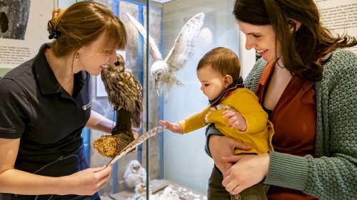 Kultur in der Elternzeit in Berlin und Umgebung: Mit dem Baby ins Museum