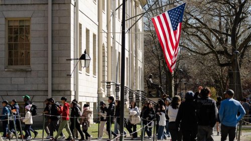 Trump erhöht Druck weiter: US-Republikaner leiten formale Untersuchung der Harvard-Universität ein