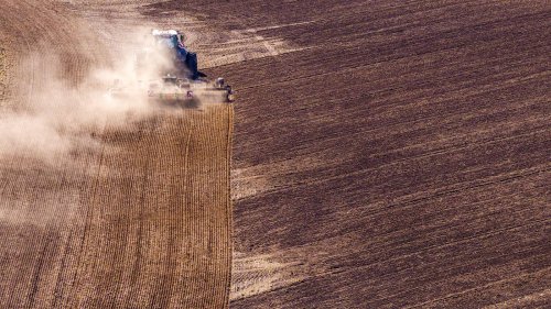 Agrarinteressen: Ostdeutsche Agrarminister reisen nach Brüssel