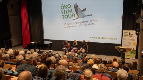 „Strahlkraft nicht verloren“: Große Nachfrage bei der Ökofilmtour – weitere Filme folgen