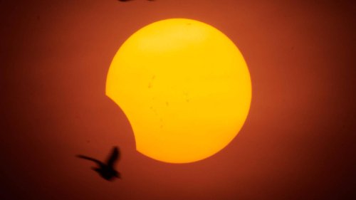 Norden oder Süden?: Wo man in Deutschland die Sonnenfinsternis am besten beobachten kann